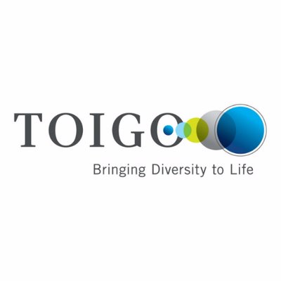 Robert Toigo Foundation Logo